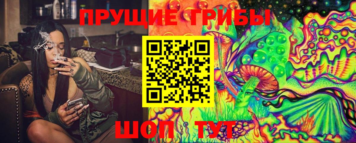 где купить наркоту  Вход с VPN  Кашира  Галлюциногенные грибы Magic Shrooms  Псилоцибиновые грибы Psilocybe 