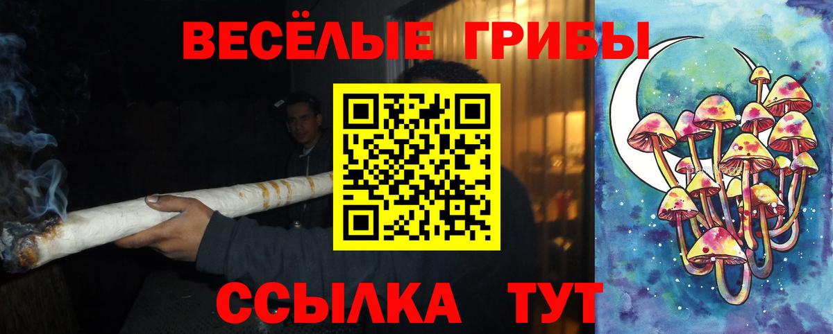 Галлюциногенные грибы прущие грибы Кашира